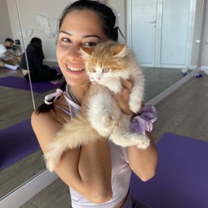 A Magical Yoga with Kittens Experience A Magical Yoga with Kittens Experience