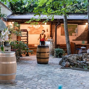 Посещение на музея на ракията с включена дегустация на отлежали ракии и бренди  за един човек