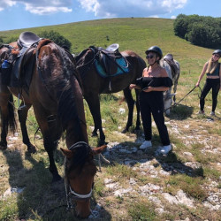 4-hour horse trek to Stolo rock phenomenon and picnic for two 4-hour horse trek to Stolo rock phenomenon and picnic for two