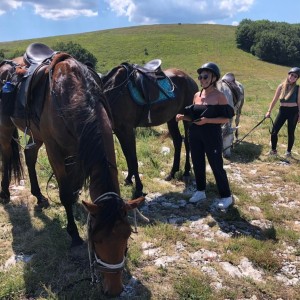 4-hour horse trek to Stolo rock phenomenon and picnic for two 4-hour horse trek to Stolo rock phenomenon and picnic for two