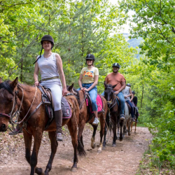 Horse riding for two and archery near Svoge Horse riding for two and archery near Svoge