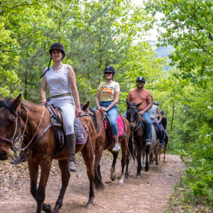 Разходка с кон за двама и стрелба с лък край Своге