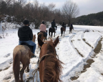 Конна езда за двама - зимна приказка сред природата край Своге от Макароон