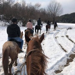 Horse riding for two - a winter fairy tale in nature near Svoge Horse riding for two - a winter fairy tale in nature near Svoge
