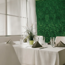 Romantic dinner for two at Park Hotel RAYA Garden in Veliko Tarnovo Romantic dinner for two at Park Hotel RAYA Garden in Veliko Tarnovo