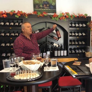 Tasting of 3 wines for two at Rupel winery, Dolno Spanchevo village