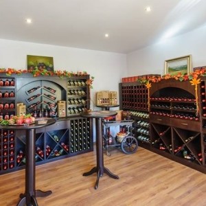 Tasting of 3 wines for two at Rupel winery, Dolno Spanchevo village