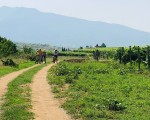 By bike in nature + good wine with "Bike tour from Rupel winery to Orbelus winery for two" from Makaroon