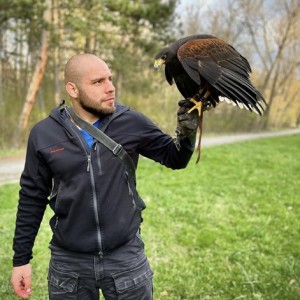 Господарите на небето: Групово шоу с мишелов на Харис и скален орел за един човек Господарите на небето: Групово шоу с мишелов на Харис и скален орел за един човек