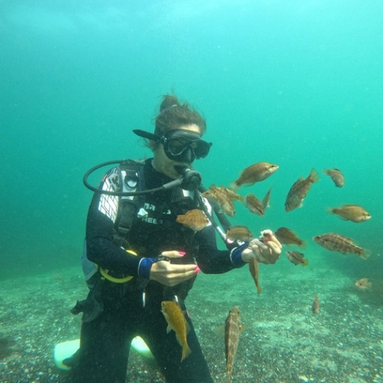 Впуснете в едно подводно приключение с Гмуркане от лодка в потънал кораб на остров Св. Иван, Созопол от Makaroon