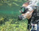 Впуснете в едно подводно приключение с Гмуркане от лодка в потънал кораб на остров Св. Иван, Созопол от Makaroon