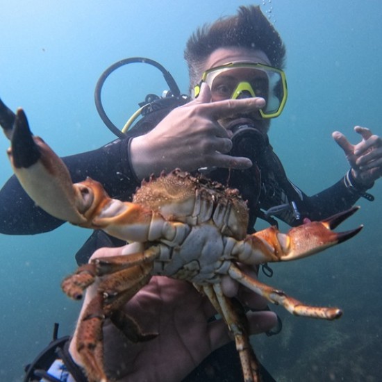 Впуснете в едно подводно приключение с Гмуркане от лодка в потънал кораб на остров Св. Иван, Созопол от Makaroon