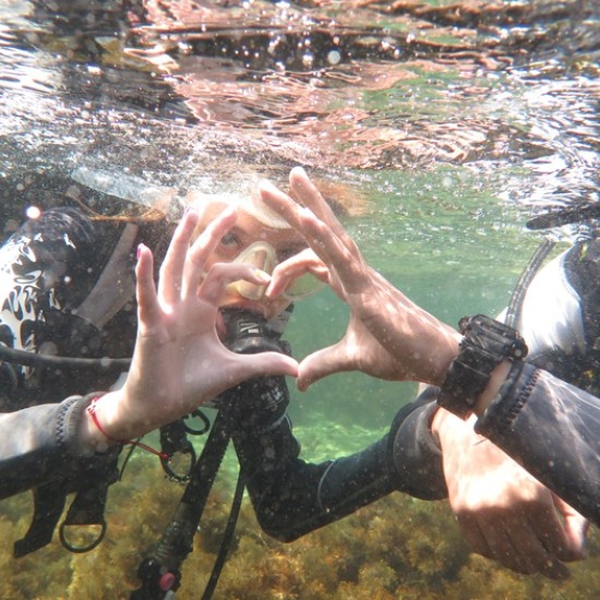 Впуснете в едно подводно приключение с Гмуркане от лодка в потънал кораб на остров Св. Иван, Созопол от Makaroon