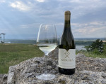 Едно лозаро-винарско приключение сред Дунавската равнина с "Дегустация за двама в с. Селановци" от Makaroon