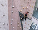 Sport, climbing and fun with "Individual climbing training at Momentum Indoor Climbing" from Makaroon