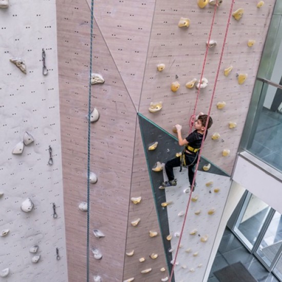 Sport, climbing and fun with "Individual climbing training at Momentum Indoor Climbing" from Makaroon