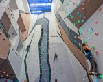 Sport, climbing and fun with "Individual climbing training at Momentum Indoor Climbing" from Makaroon