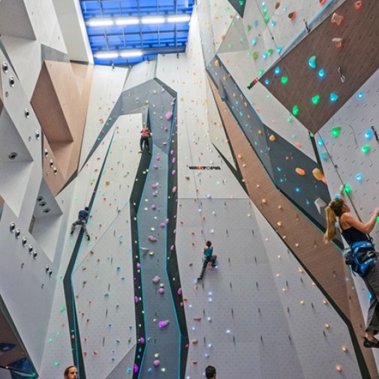 Sport, climbing and fun with "Individual climbing training at Momentum Indoor Climbing" from Makaroon