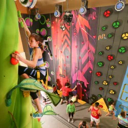 Индивидуална тренировка по катерене в Momentum Indoor Climbing Индивидуална тренировка по катерене в Momentum Indoor Climbing