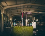 Преживяване за ценители - Тур и дегустация на вина от редки български сортове във Винарска изба Царев Брод от Makaroon Преживяване за ценители - Тур и дегустация на вина от редки български сортове във Винарска изба Царев Брод от Makaroon