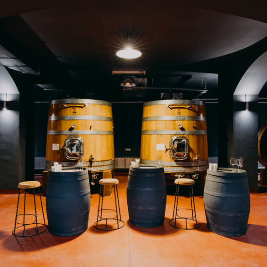 Преживяване за ценители - Винен тур и дегустация на 6 вина за двама в изба Магура от Makaroon