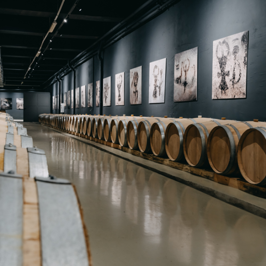 Преживяване за ценители - Винен тур и дегустация на 6 вина за двама в изба Магура от Makaroon