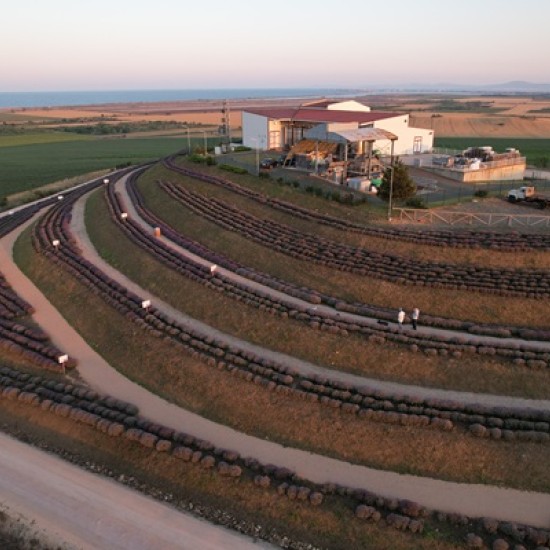 В света на лавандулата - една необикновена арома дегустация за двама от Makaroon