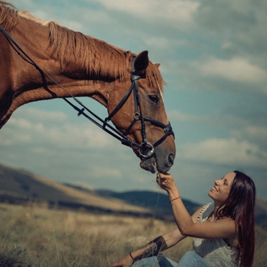 Забавление и природата с Конна езда на манеж в Радомир от Makaroon