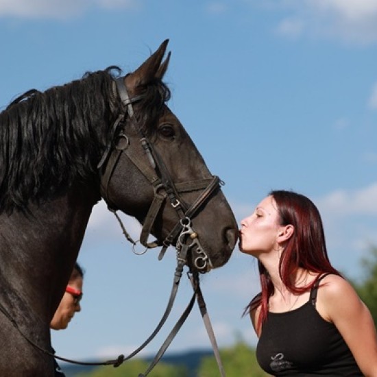 Забавление и природата с Конна езда на манеж в Радомир от Makaroon