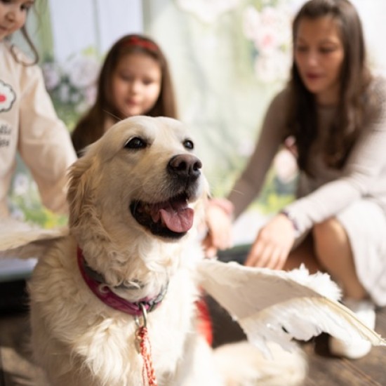 Пица преживяване на двама в компанията на четирите лапи на Bella от Makaroon