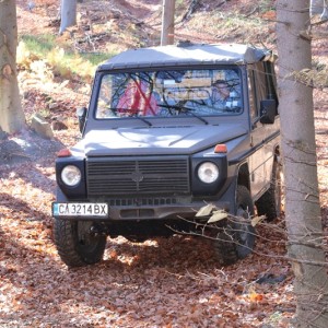 В дома на дивите животни с Горско сафари край Ихтиман 