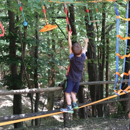 Прекарайте един незабравим ден сред природата със сафари с диви животни, разходка и барбекю край Ихтиман от Makaroon