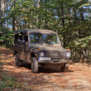 Дивото Зове - сафари с наблюдение на диви животни, разходка, стрелба с лък и барбекю край Ихтиман