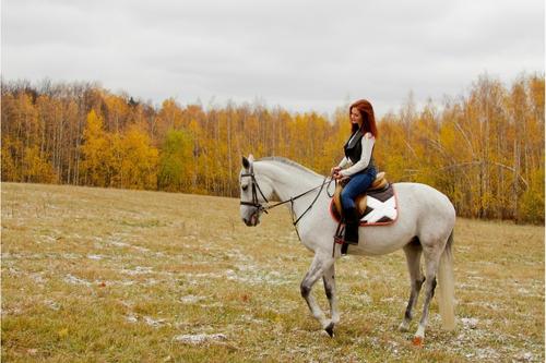 Перфектен подарък за жена на открито е язденето на кон и разходка с кон.